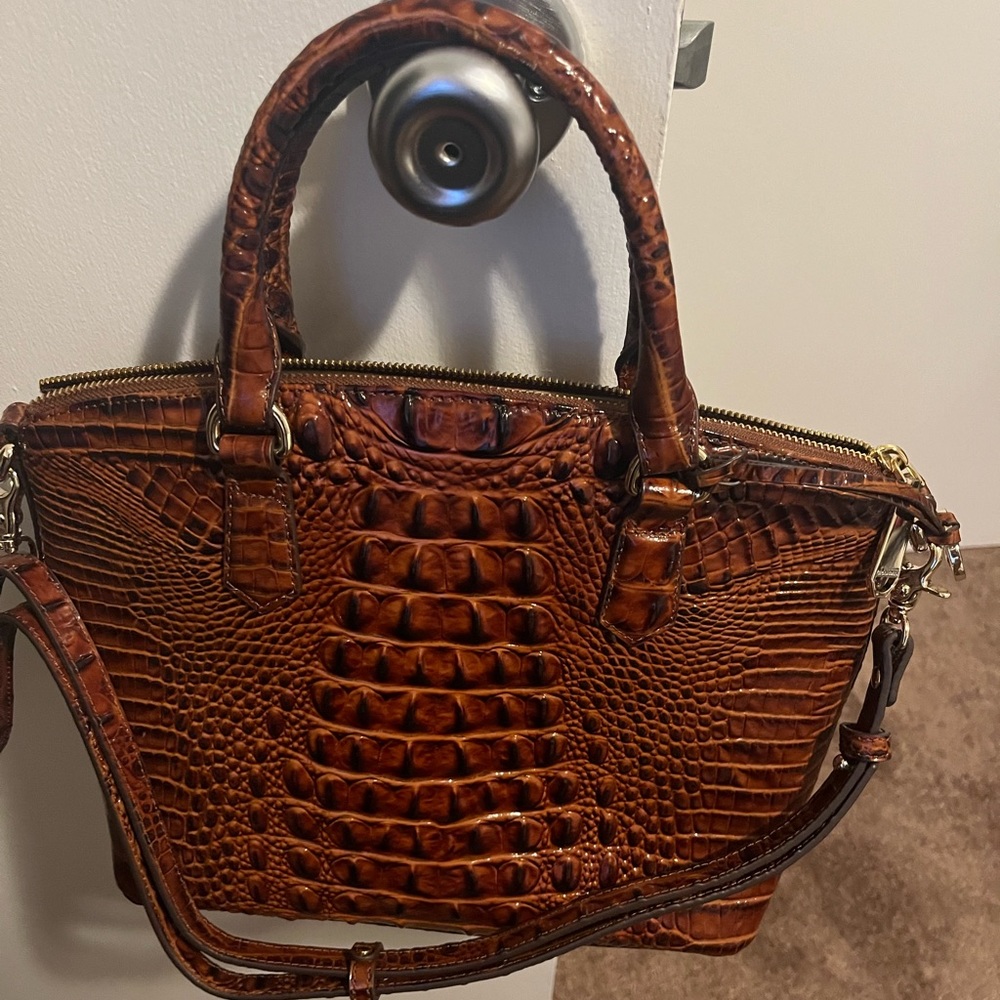 Pecan Melbourne: Gently used. Registration and duster included